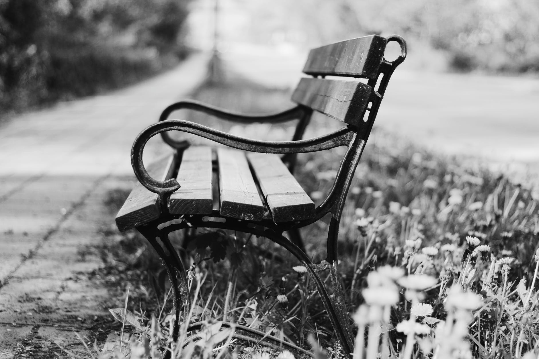 grayscale photography of brown and black bench